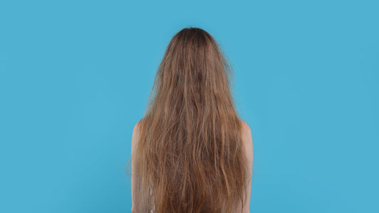Los Mejores Ingredientes para el Cabello Seco y Maltratado: Hidratación Profunda y Reparación Eficaz